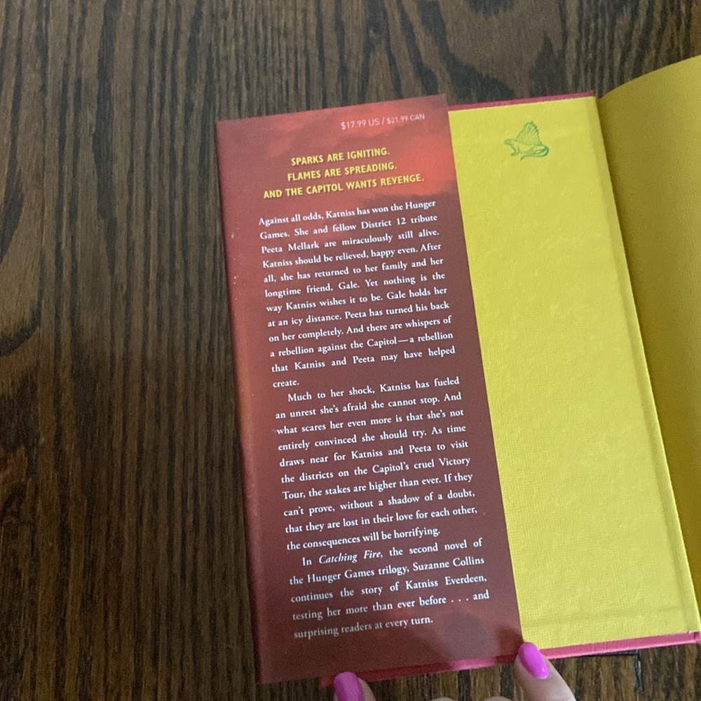 “Catching fire book” - Picture 3 of 4